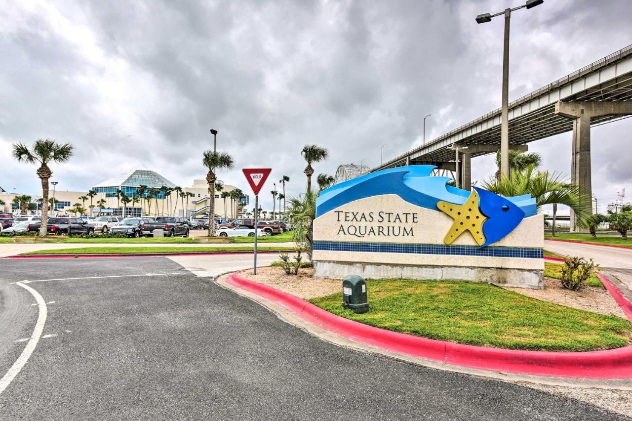 Breezy Beachfront Condo In Heart Of Corpus Christi Exterior photo